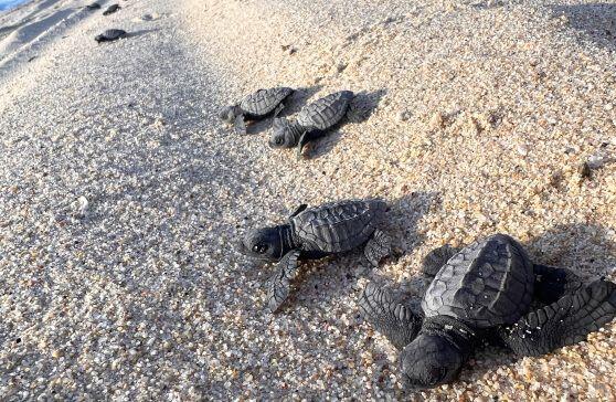 OUR BIG SPECIAL CITIES