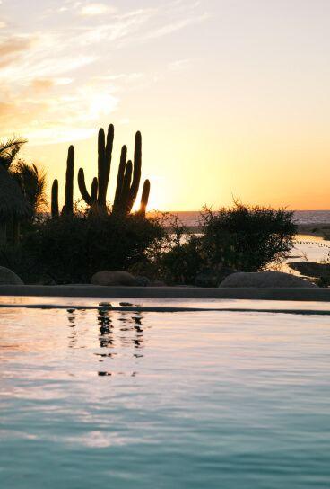 OUR BIG SPECIAL CITIES