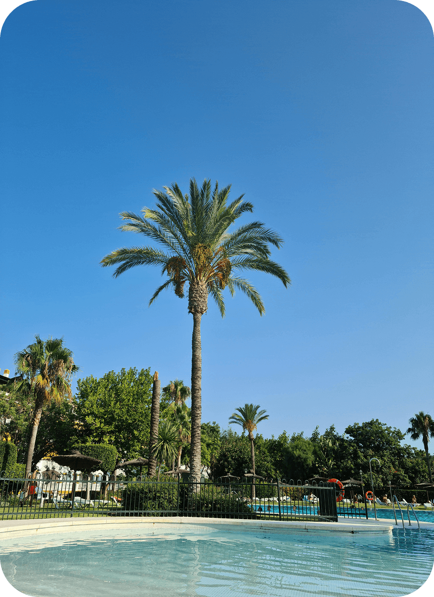 BESPOKE BY SOMI ICON