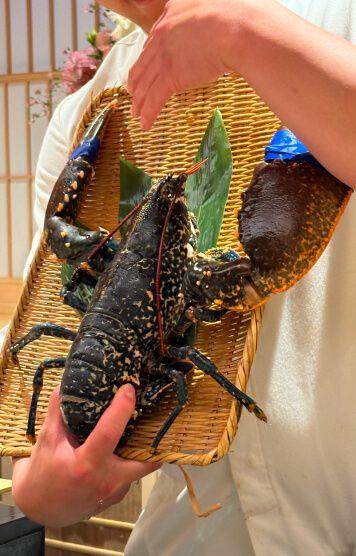 OUR BIG SPECIAL CITIES